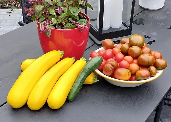 Rainbow - Apartament *
